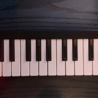 easykey 25 midi keyboard