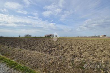 TER. AGRICOLO A CESSALTO