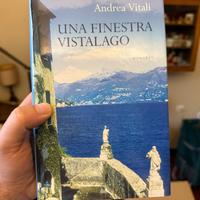 Una finestra vista lago