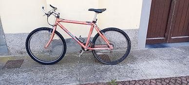 Mountain bike Coppi