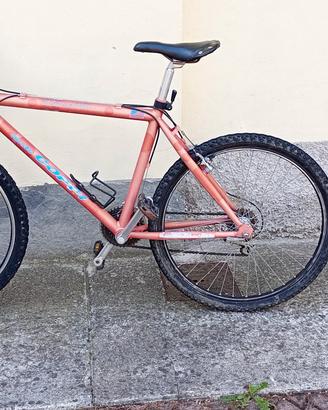 Mountain bike Coppi