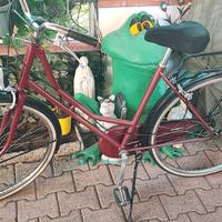 bici olandese 