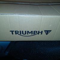 cupolino street triple rs phantom black