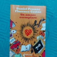 Un amore esemplare