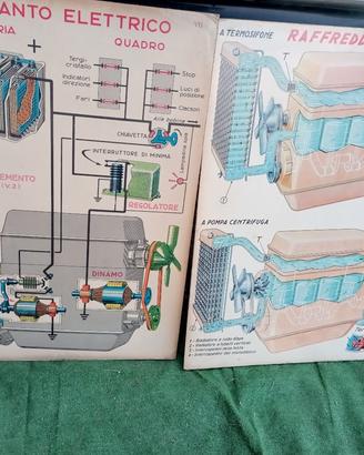 coppia di pannelli didattici autoscuola vimtage
