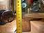Immagine 4