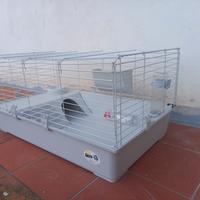 gabbia per cavie o criceti