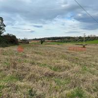 Terreno Agricolo Collesalvetti [Rif. 421/BVCG]