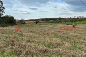 Terreno Agricolo Collesalvetti [Rif. 421/BVCG]