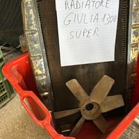 Radiatore Giulia super 1300