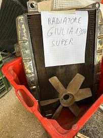 Radiatore Giulia super 1300