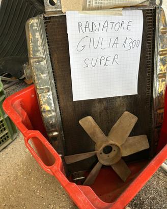 Radiatore Giulia super 1300