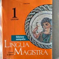 Corso di latino Lingua Magistra