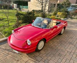 Alfa Romeo Duetto Spider ASI - targa MI 60mila km