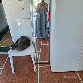 abito 