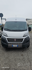 Fiat ducato maxi tetto alto