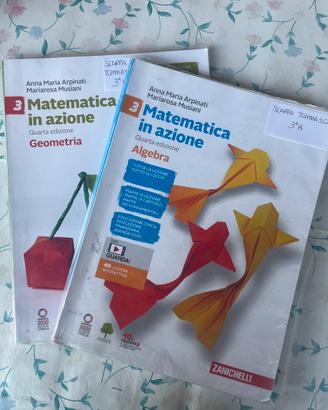 Libri scuola - terza media - matematica geometria
