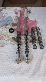 sospensioni Kawasaki zx6r / rr 03/04