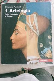 libro arteologia dalla preistoria al gotico 