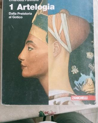 libro arteologia dalla preistoria al gotico 