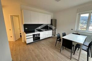 VIA PAOLI: 5 stanze disponibili da subito!!!