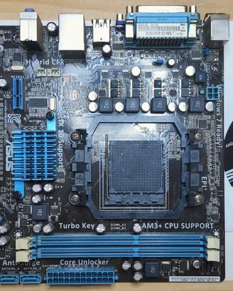 Scheda Madre Asus M5A78L-M LX