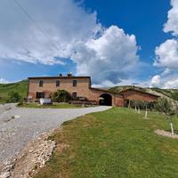Casale e terreno crete senesi Asciano Siena