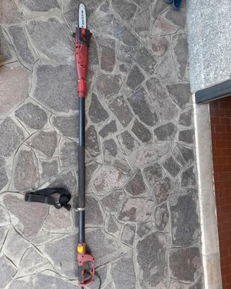 Tagliarami telescopico