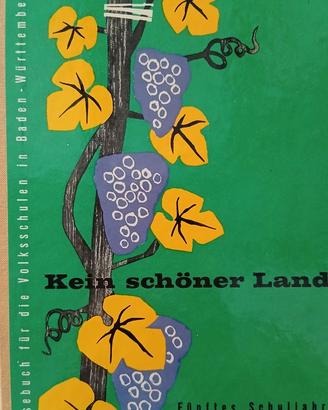 Libro Vintage 1965