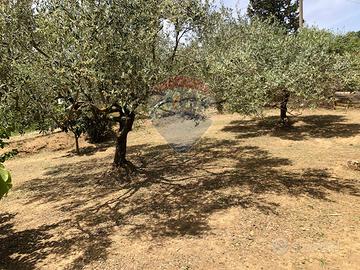 Casa Indipendente - Caltagirone