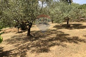 Casa Indipendente - Caltagirone