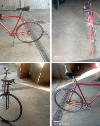 bicicletta 