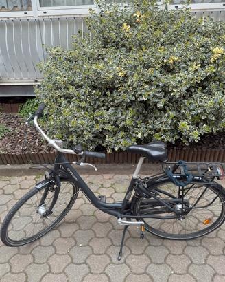 BICI DA CITTA