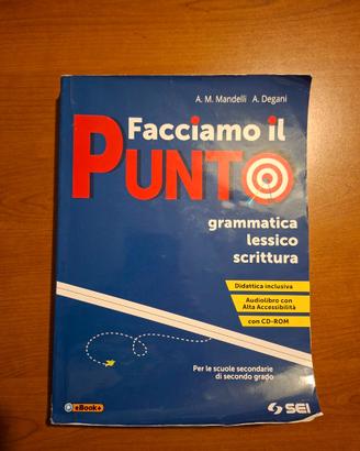 FACCIAMO IL PUNTO