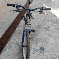 bici Mtb