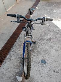 bici Mtb