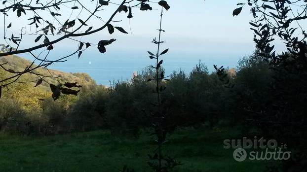Silvi: Terreno con rudere vista mare - Vista 3