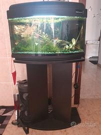 Acquario