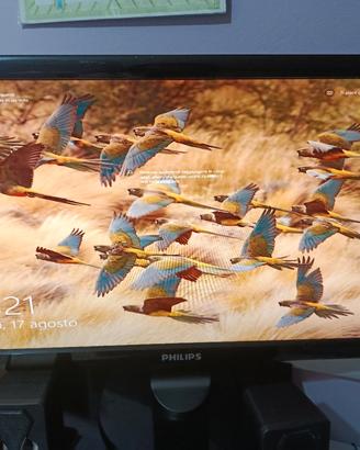 monitor pc