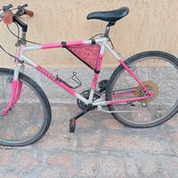 bicicletta "Olivieri"  26"