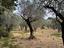 Immagine 5