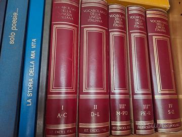 treccani vocabolario 