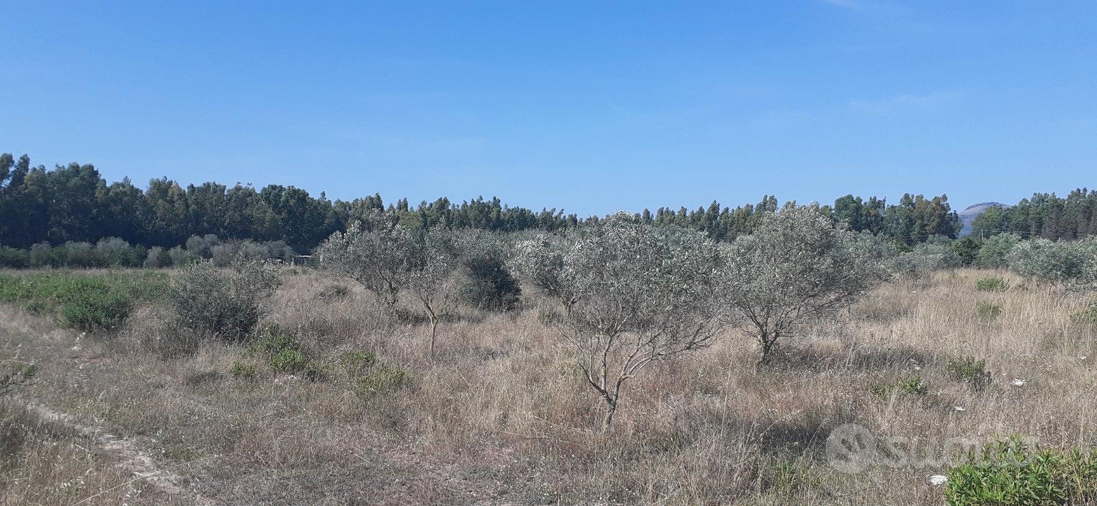 Terreno agricolo - Vista 5