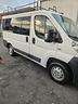 fiat-ducato-9-posti