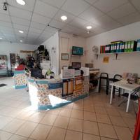 Tabaccheria con ottimi aggi su strada principale