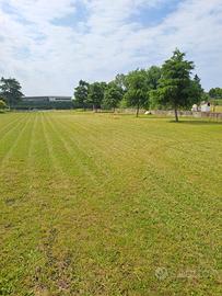 Terreno zona Palazzina (Borgo Roma)