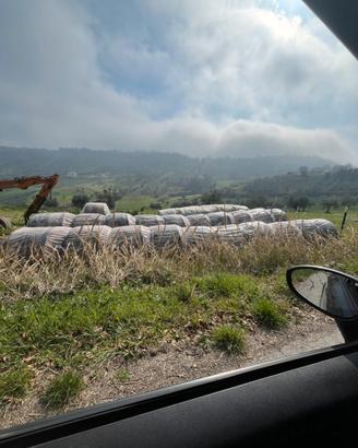 Fieno primo taglio 2025