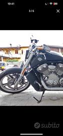 HARLEY DAVIDSON V ROD MUSCLE