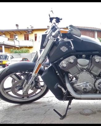 HARLEY DAVIDSON V ROD MUSCLE