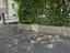 Immagine 6